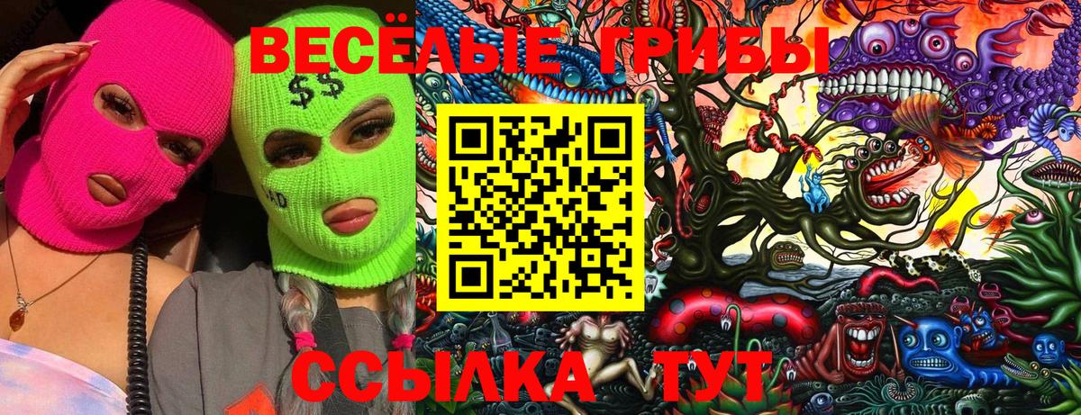 Галлюциногенные грибы прущие грибы Лабытнанги